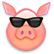 :steam_pig_cool: